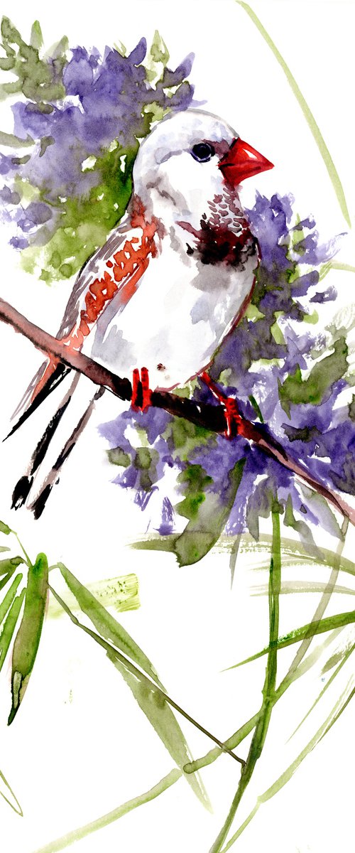 Zerba FInch Bird and Flowers, Watercolor Bird painting by Suren Nersisyan