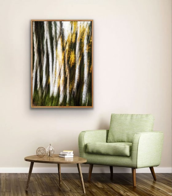 Birches (studio 2)