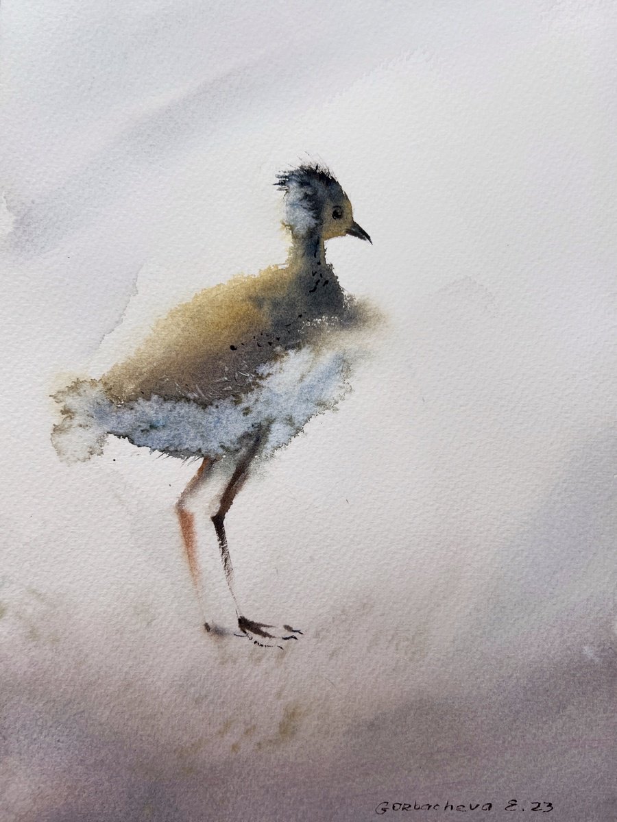 Lapwing by Eugenia Gorbacheva