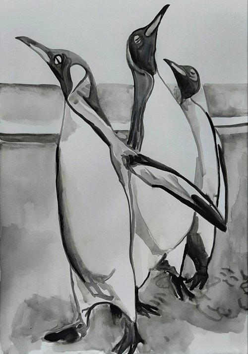 Pinguins / 42 x 29,7 cm by Alexandra Djokic