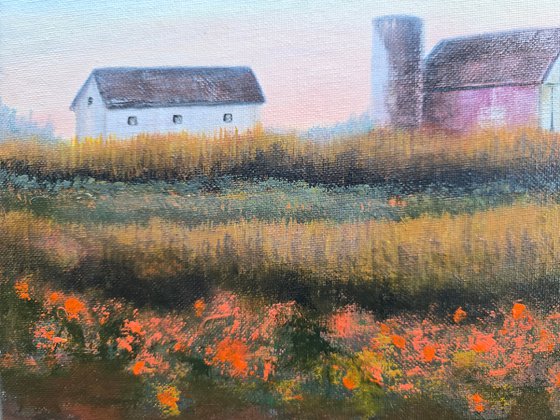 Early Morning Barn