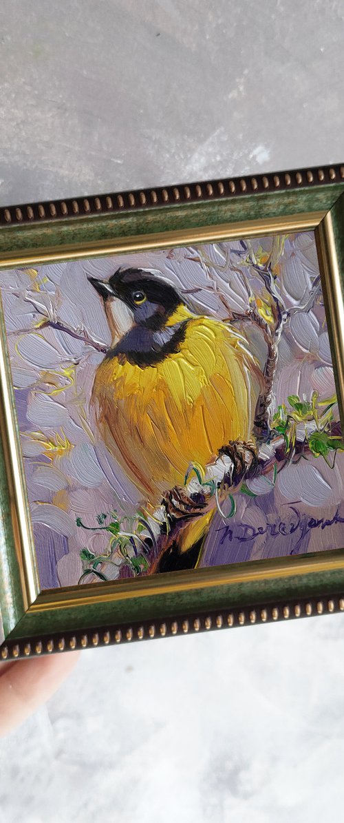 Australian golden whistler by Nataly Derevyanko
