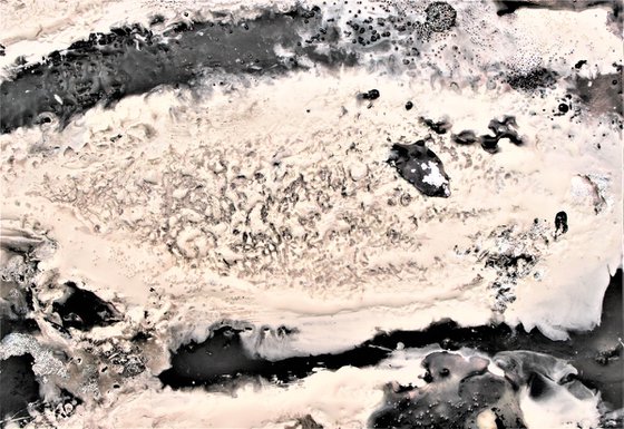 Yin Yang Ocean