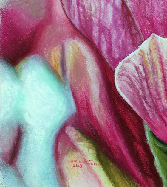 Original Pink Magnolia Flower Drawing | Luminous Magnolia Grandiflora | Romantic Floral Home Decor | Soft Pastels Art