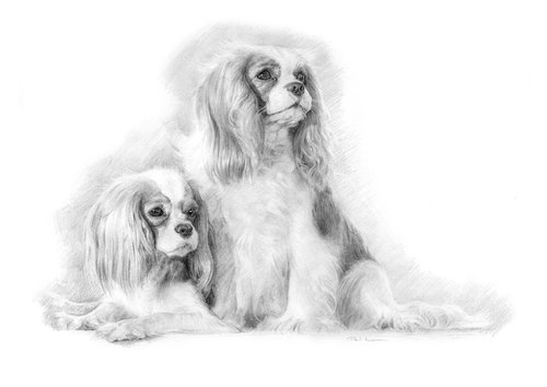 Two Spaniels by Paul Moyse