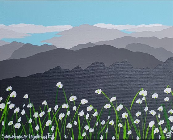 Snowdrops on Loughrigg Fell, The Lake District