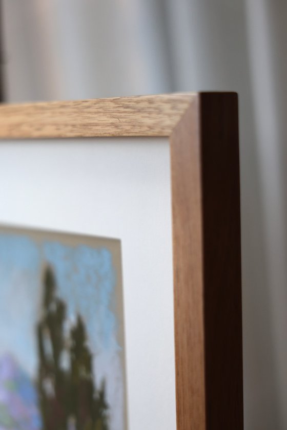 Morning in the Pyrenees