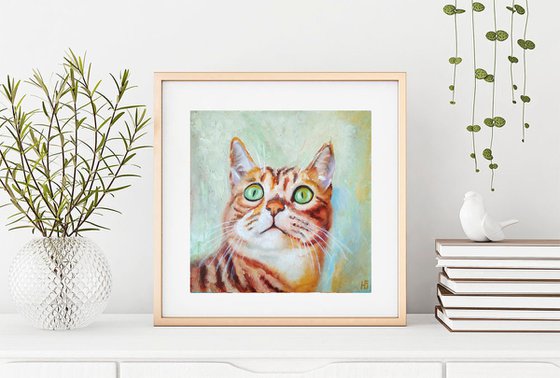 Tabby Cat Portrait