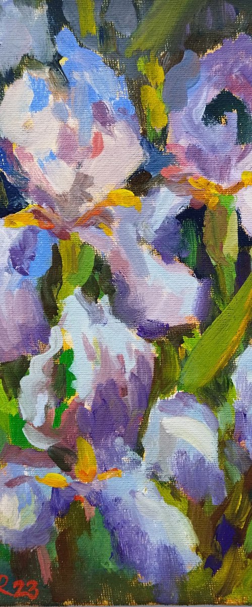 Irises by Ann Krasikova