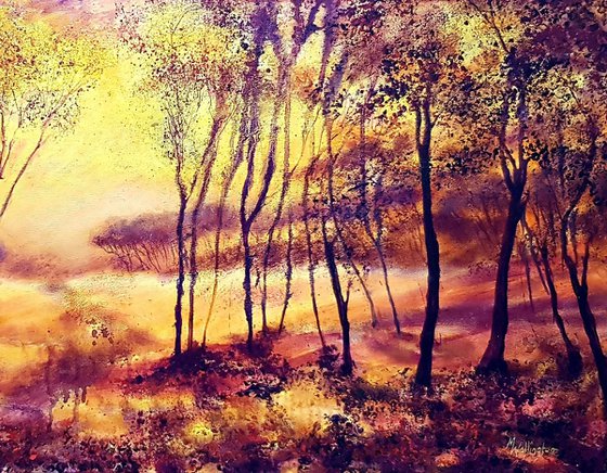 Abstract Trees - Autumn Sunrise through Trees I