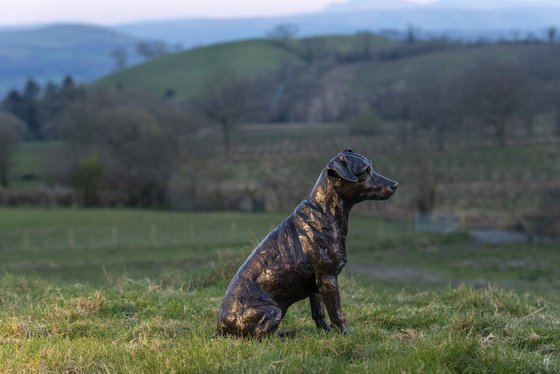 'Missy' Jack Russell sculpture