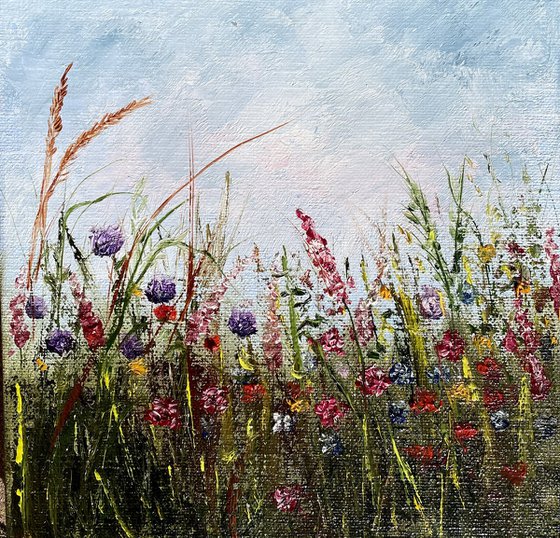 Tenderness mood series - Beautiful meadow flowers