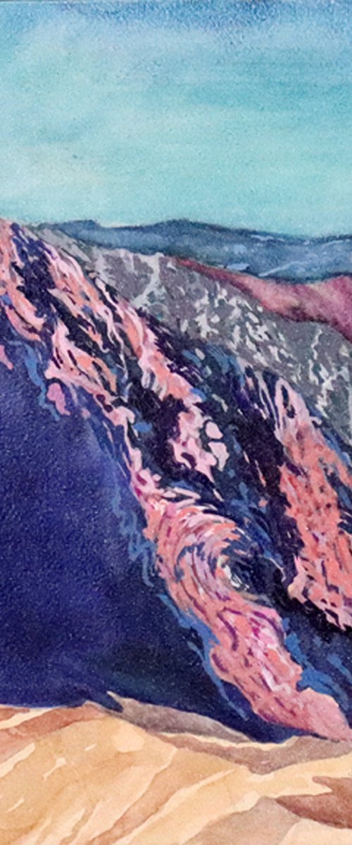 Santa Rosa Palm by Catherine Twomey