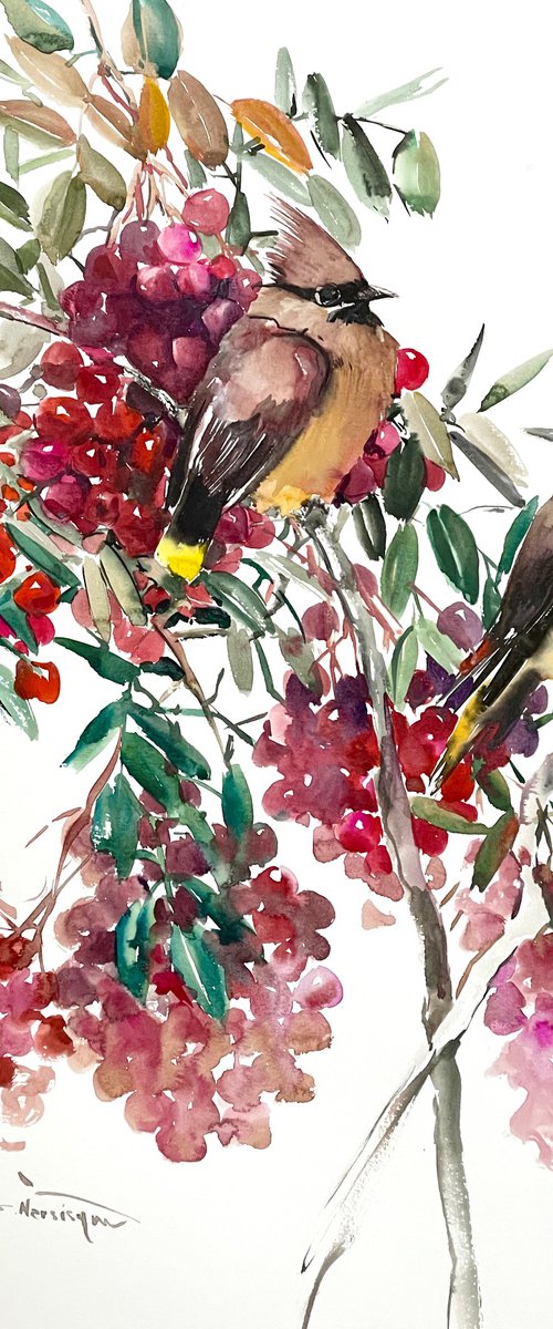 Waxwing  Birds and Fall Berries by Suren Nersisyan