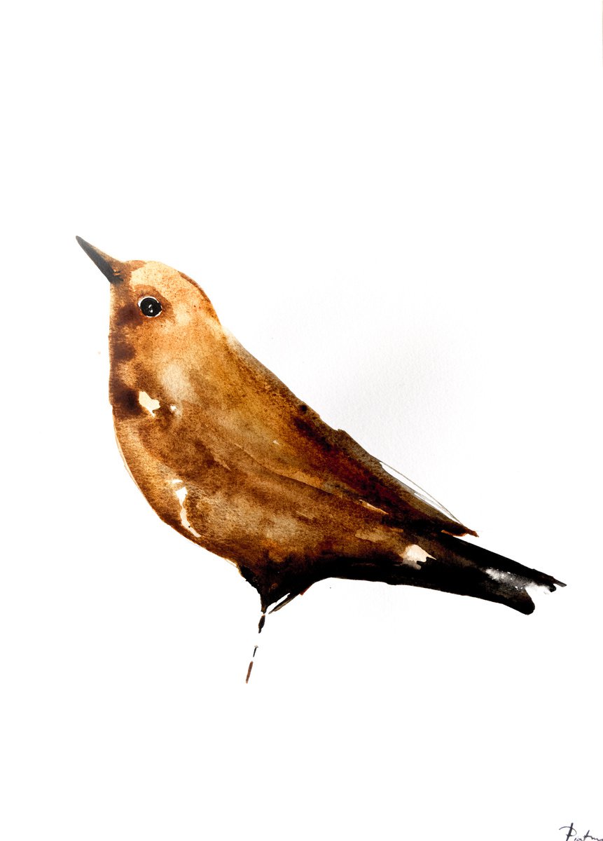 Bird by Nadia Moniatis