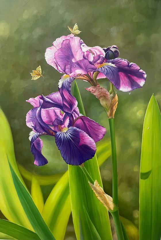 Beautiful flowers t269