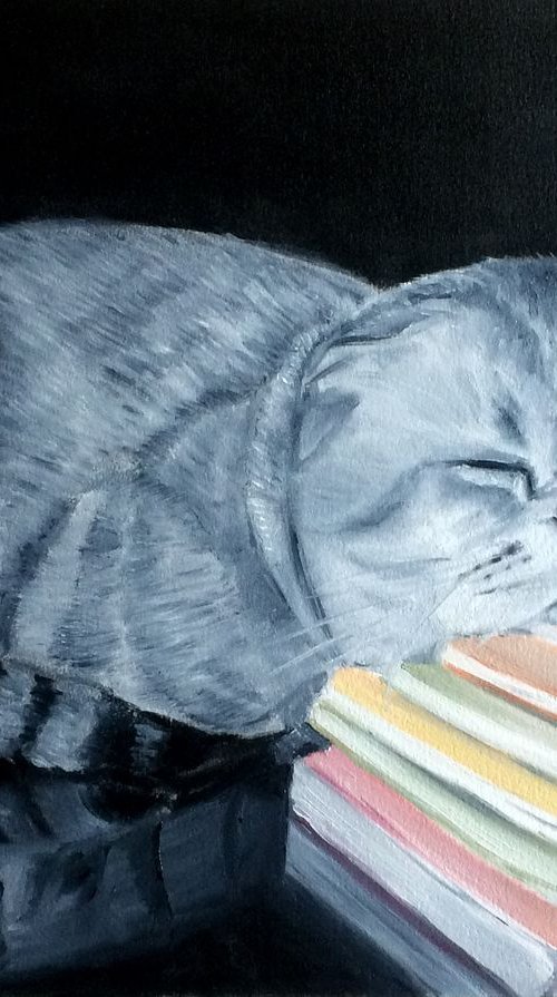 Sweet dream. Cat portrait by Ira Whittaker