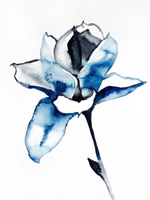 Magnolia No. 38 by Elizabeth Becker