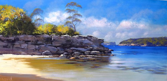 Sydney Harbour Beach