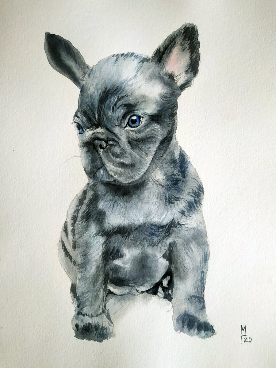 Bulldog puppy, dog painting, gift for her, gift for him, pet lovers by Mary Grinkevich