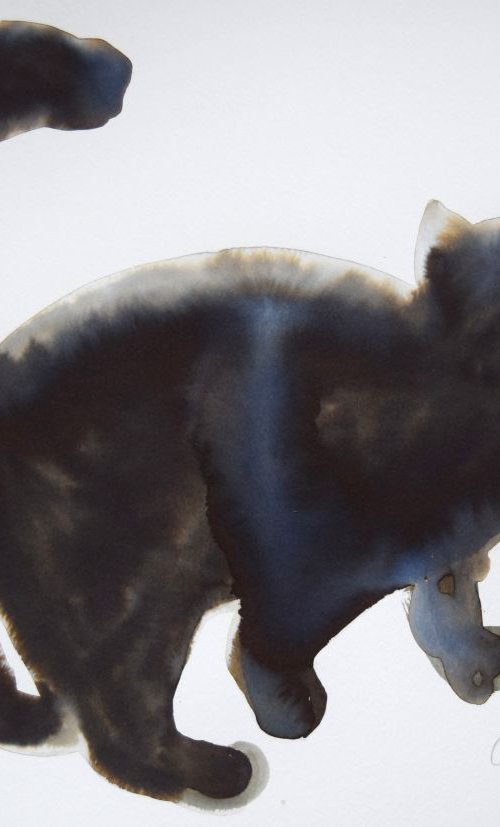 Cat series 'Pleased to see you' by Nicola Colbran