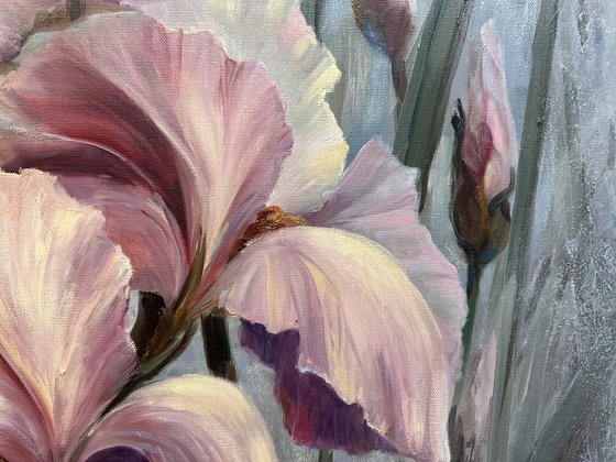 In the haze of flower dreams. Pink irises