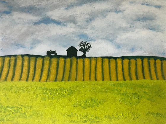 Sold-Farm Fields