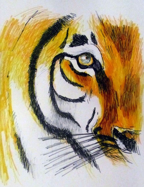 tiger by Nektaria G