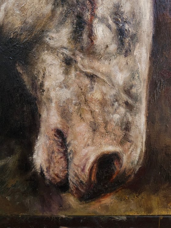Wounded-Original Horse Portrait
