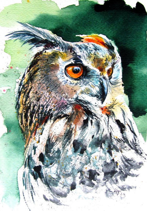 Great horned owl portrait