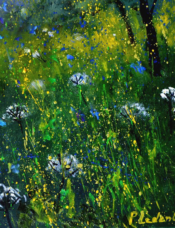 White and blue Wild flowers