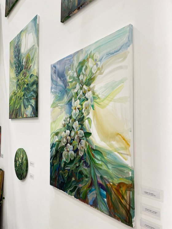 The magic of Jasmines.  Floral