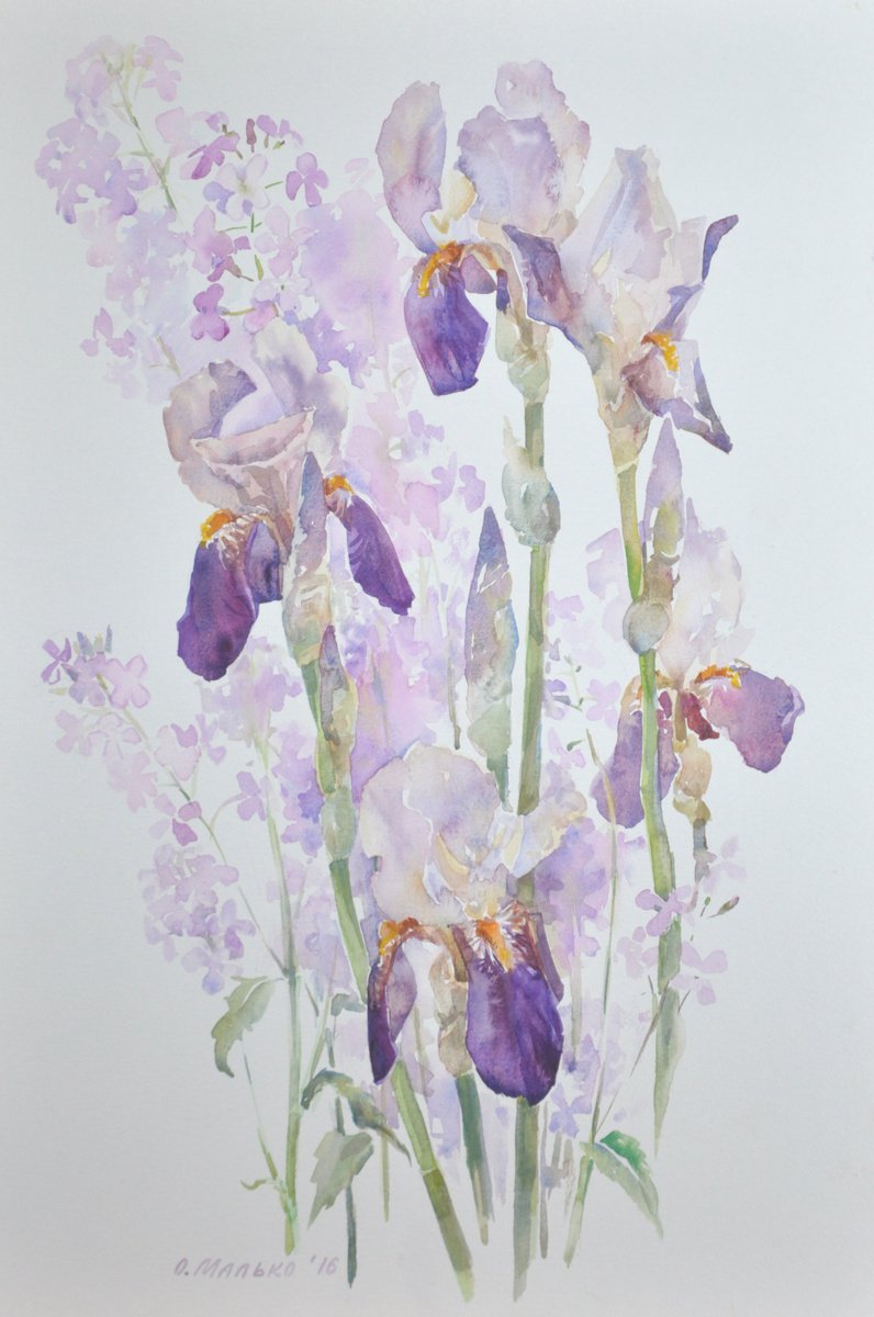Purple irises with night violets / Floral watercolor Garden flowers by Olha Malko