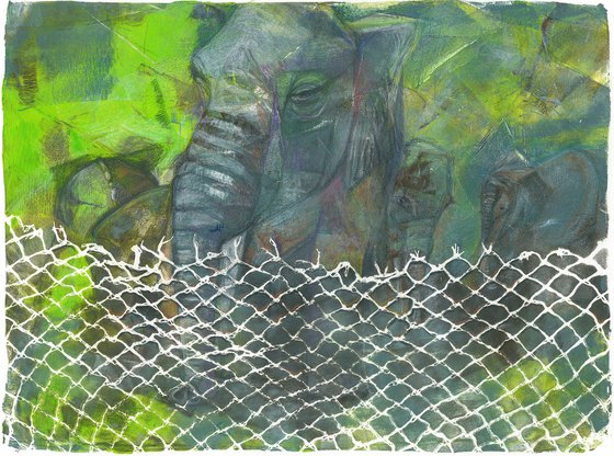 ZOO 3 - Elephant Frits