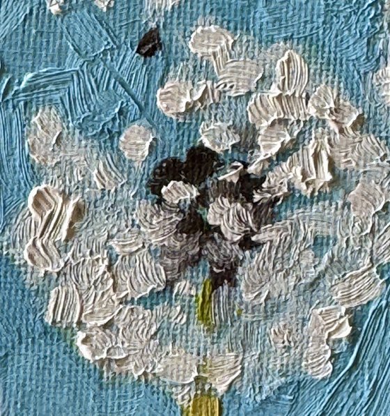 Dandelions