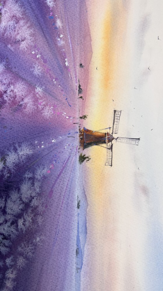 Whispers of Provence