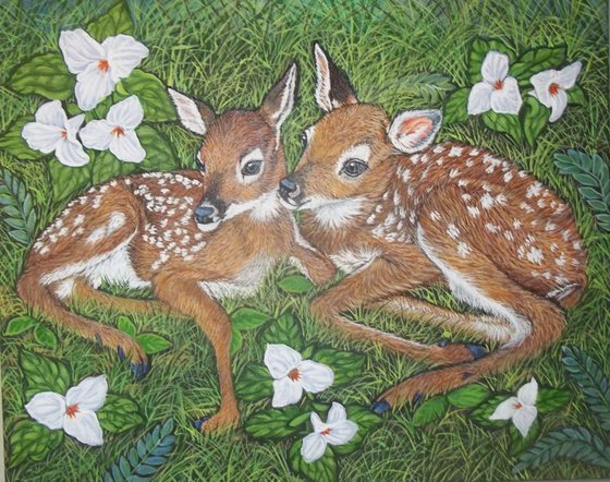 White tailed Fawns