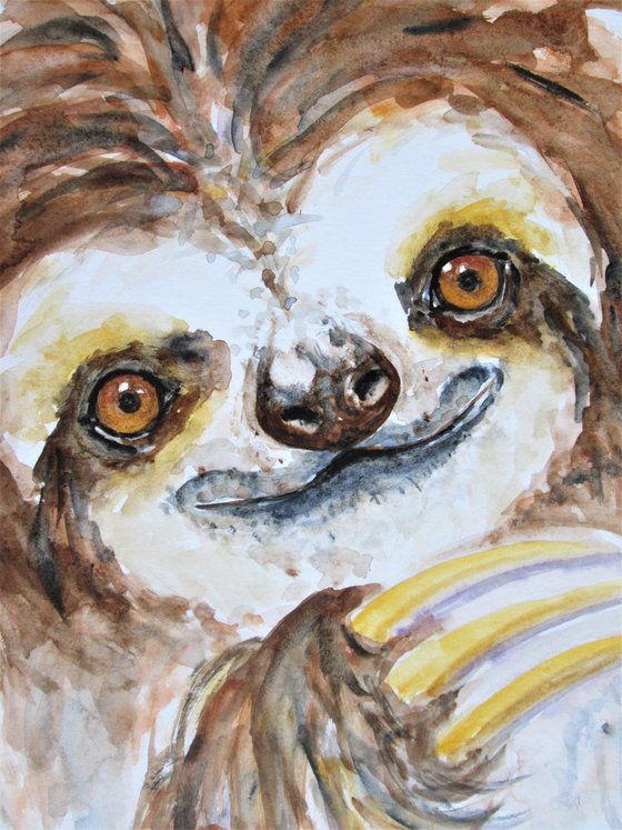 Three toed Sloth portrait