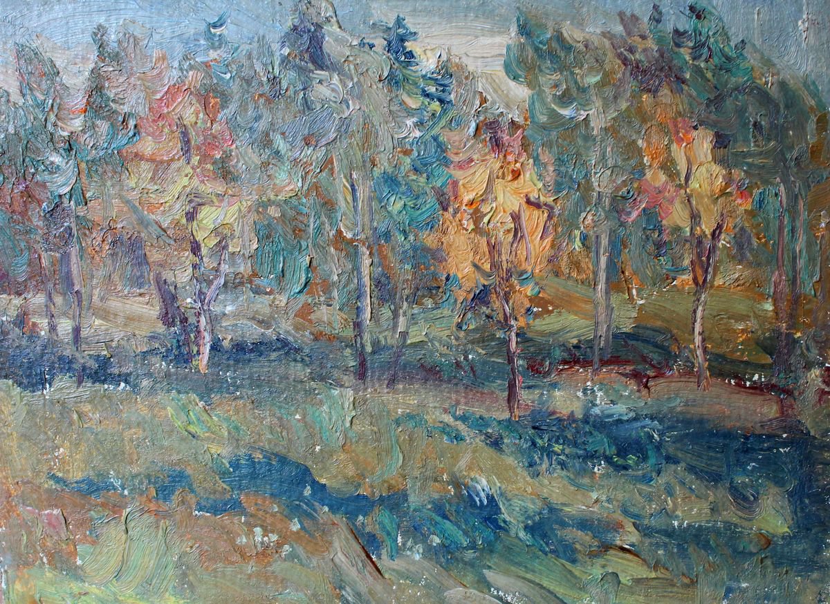 Autumn etude. by Viktor Makarov