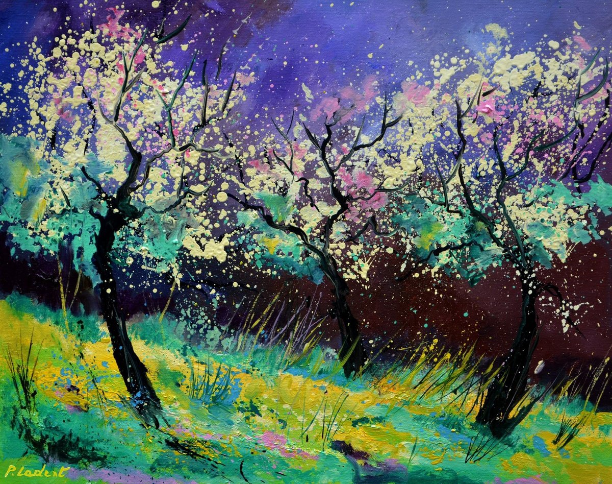 Appletrees in blossom -6523 by Pol Henry Ledent