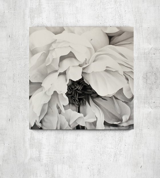 "Blossomed peony" Black white flower oil art