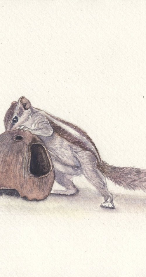 Squirrel and the coconut shell by Shweta  Mahajan