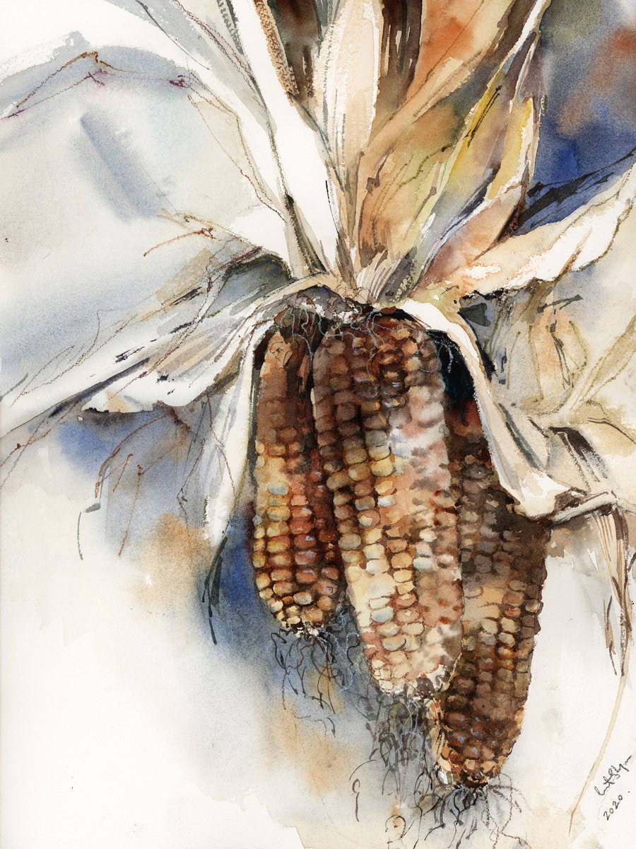 Sweet Corn Watercolor Painting by Sophie Rodionov