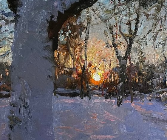 Winter evening in the forest