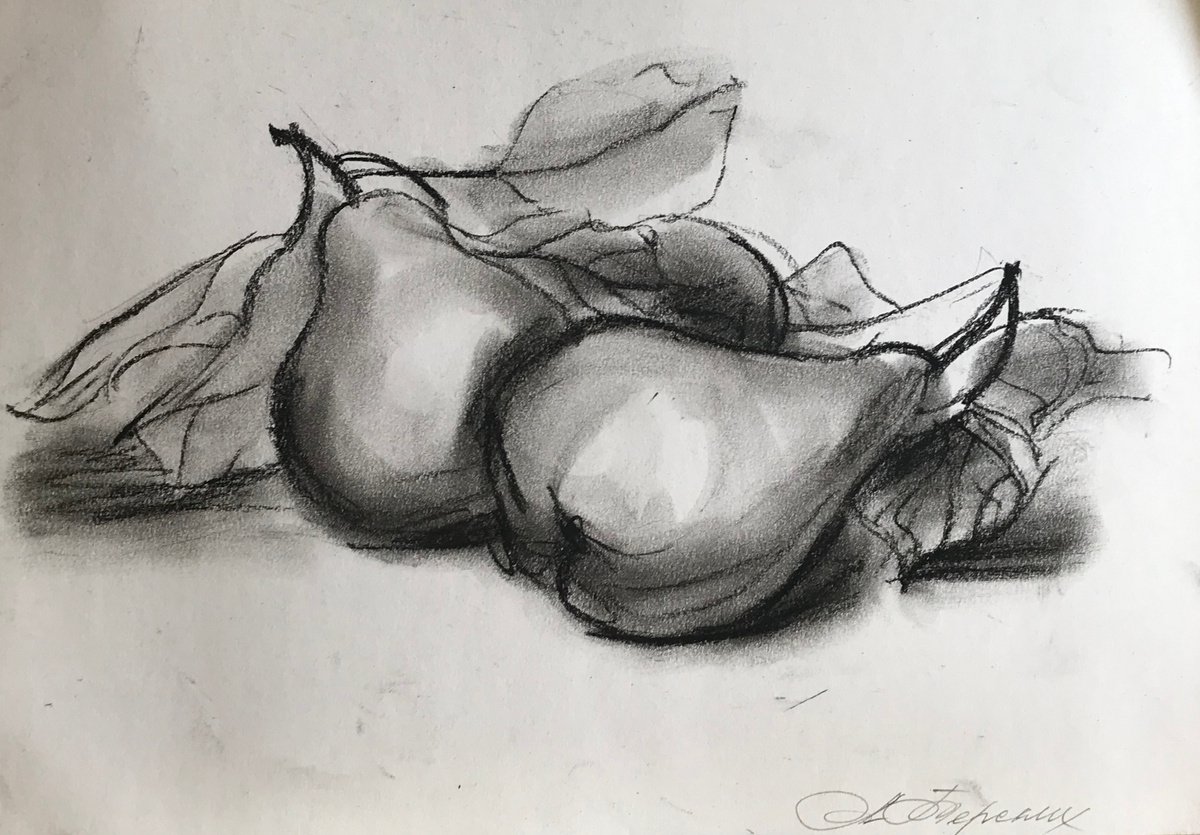 Botanical Charcoal Drawing By Anastasia Terskih, 12 X 8, 