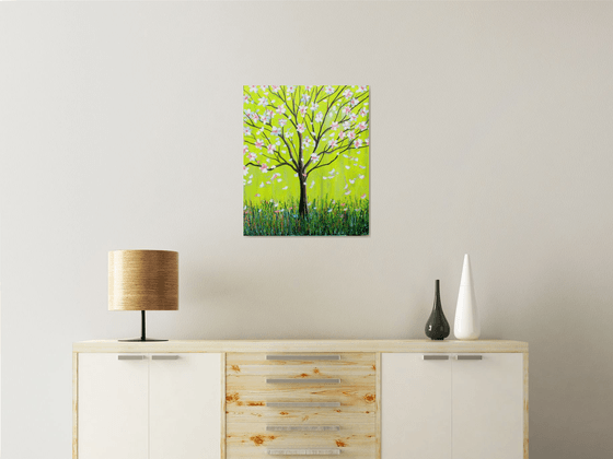Magnolia Spring