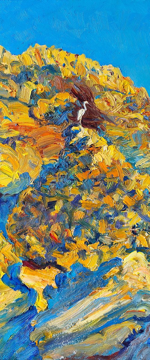 Heron on Coastal Rocks by Anastasiia Aguf