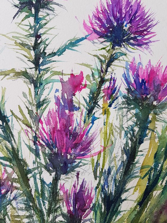 Thistles and bumble bees