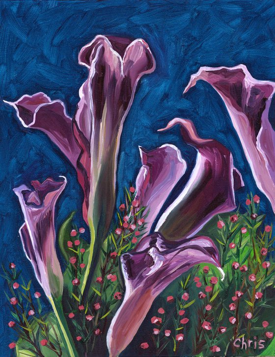 Purple Calla Lillies