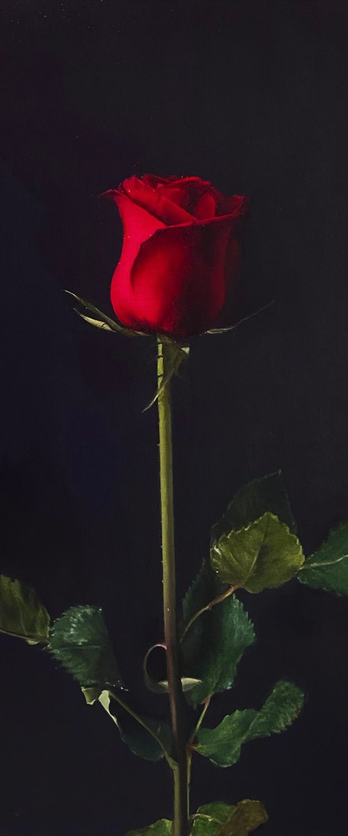 Adrenalin. Red Rose by Alla Kallass